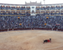 Spain03